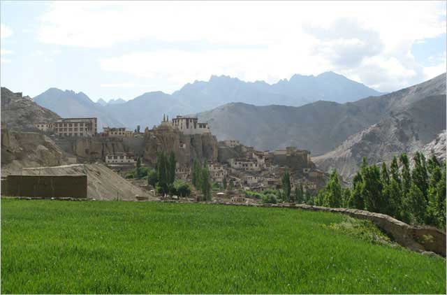 Lamayuru Alchi Trek
